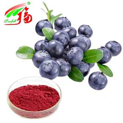 Bilberry Extract 10% 25% Anthocyanidins (UV-VIS) Antioxidant Vaccinium Myrtillus L. Bilberry for Vision Support Supplement