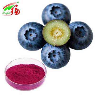 Ekstrak Bubuk Blueberry Vaccinium Uliginosum L Antosianidin 5% -25%