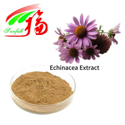 Ekstrak Echinacea 4% Polifenol 1% 4% Asam Cichoric Echinacoside Ekstrak Echinacea Purpurea