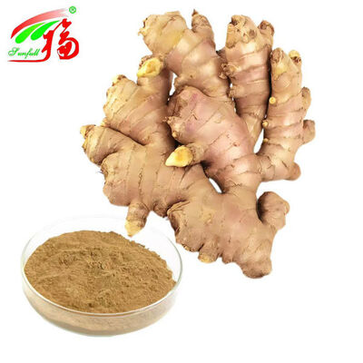 Ekstrak jahe Ekstrak akar jahe Gingerol 10% 5% 1% Nyaman pencernaan Dukungan pernapasan dan mobilitas sendi