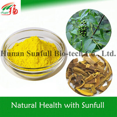 Ekstrak Antibakteri Berberin HCl Bubuk Kristal Kuning dari spesies Berberis (Barberry) dengan No. CAS 633-65-8