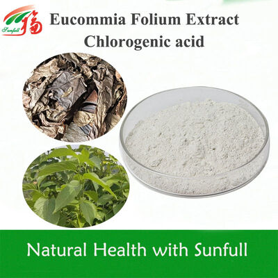 Ekstrak Daun Eucommia Ulmoides Berkualitas Tinggi Asam Klorogenik 5%-99% Spesifikasi Di Stok