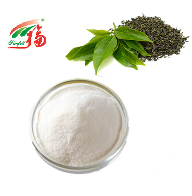 KOSHER Green Tea Extract Powder 98% EGCG Epigallocatechin Gallate Untuk Kosmetik