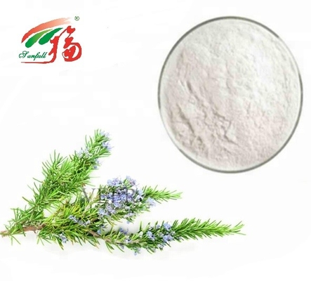 90% - 98% Bubuk Asam Rosmarinic / Ekstrak Antioksidan Rosemary Untuk Farmasi
